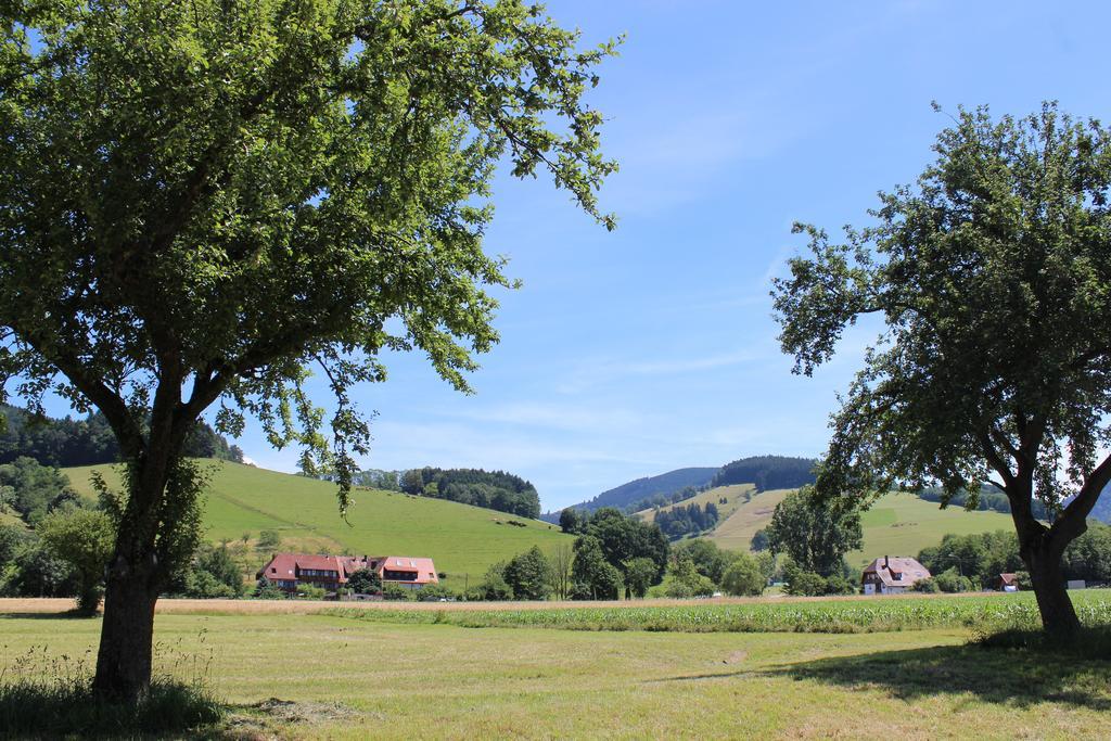 Landgasthof Zum Schuetzen Oberried  Eksteriør billede