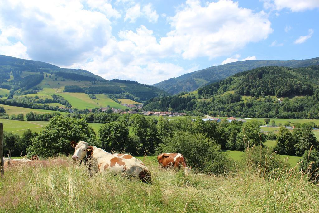 Landgasthof Zum Schuetzen Oberried  Eksteriør billede
