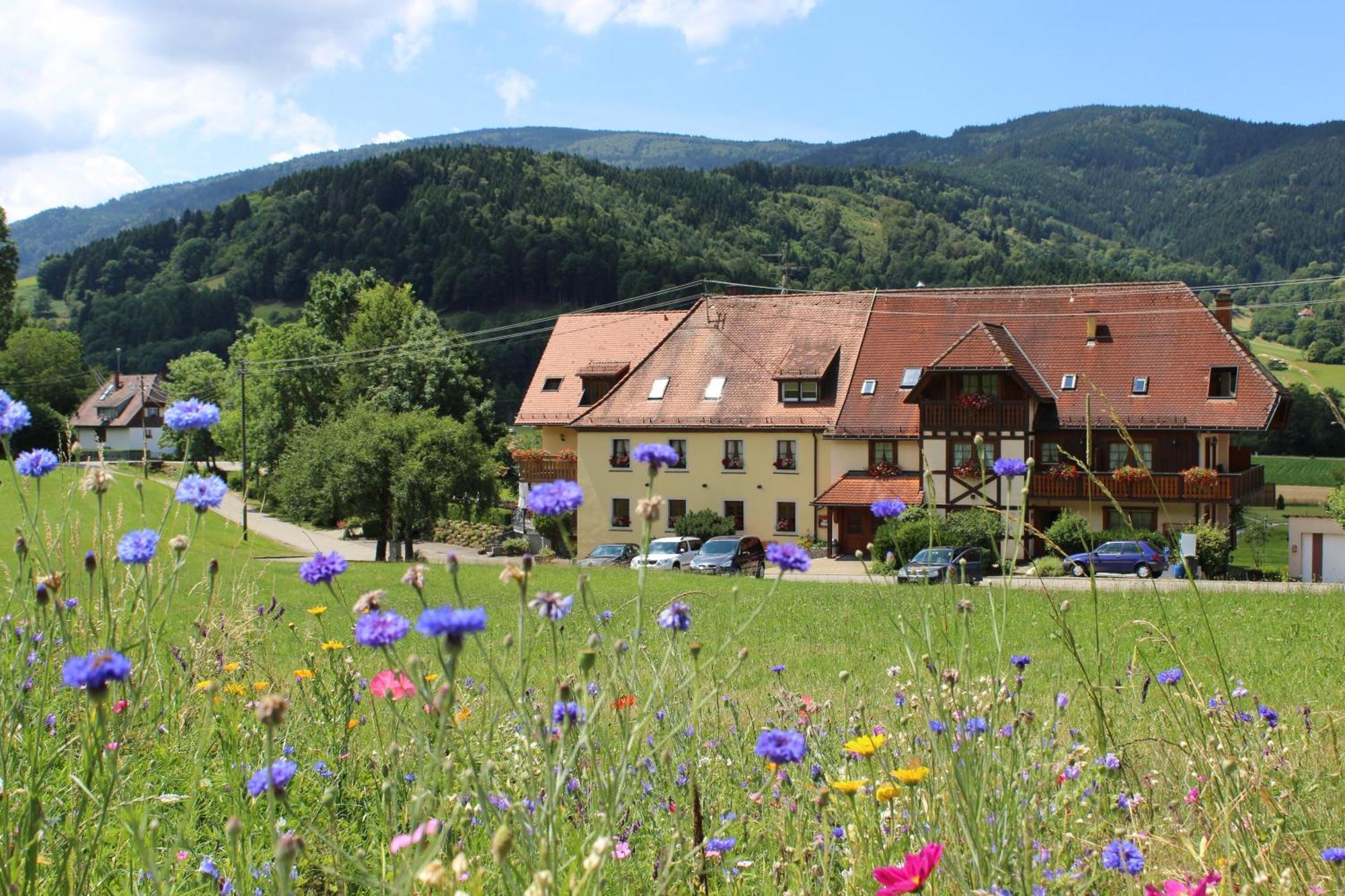 Landgasthof Zum Schuetzen Oberried  Eksteriør billede