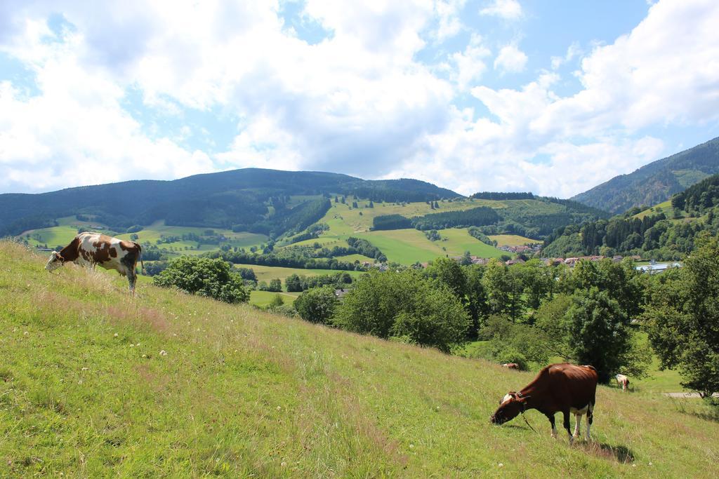 Landgasthof Zum Schuetzen Oberried  Eksteriør billede